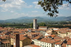 Lucca: View from Torre dei Guinigi (116kb)