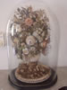 Curaçao Museum: De bloemen in dit bloemstuk zijn allemaal gemaakt van schelpen (41kb)