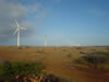 Windmolens in de buurt van Playa Kanoa (34kb)