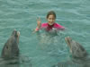 Zwemmen met dolfijnen: de dolfijnen zingen wanneer je twee vingers opsteekt (55kb)