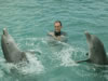 Zwemmen met dolfijnen: de dolfijnen draaien een rondje wanneer Donar een rondje draait (59kb)