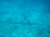 Playa Cas Aboa: snorkelen (26kb)