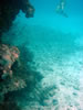 Playa Cas Aboa: snorkelen (58kb)