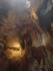Grotten van Hato (44kb)