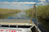 Airboat ride through the Everglades (74kb)