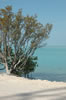 Florida Keys (106kb)