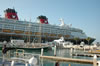 Disney Cruise ship at Key West (98kb)