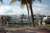 Miami: The Miami Boatshow (83kb)