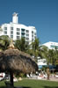 The Palms Hotel (100kb)
