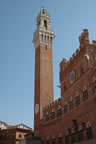 Siena: Piazza del Campo: Palazzo Pubblico with the Torre del Mangia (56kb)