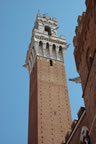 Siena: Piazza del Campo: Palazzo Pubblico with the Torre del Mangia (69kb)