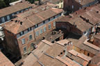 Lucca: View from Torre dei Guinigi (171kb)