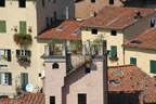 Lucca: View from Torre dei Guinigi (108kb)